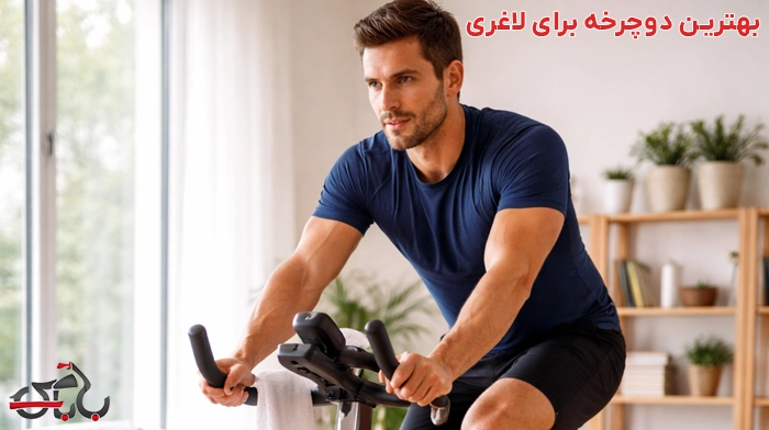 دوچرخه خانگی
